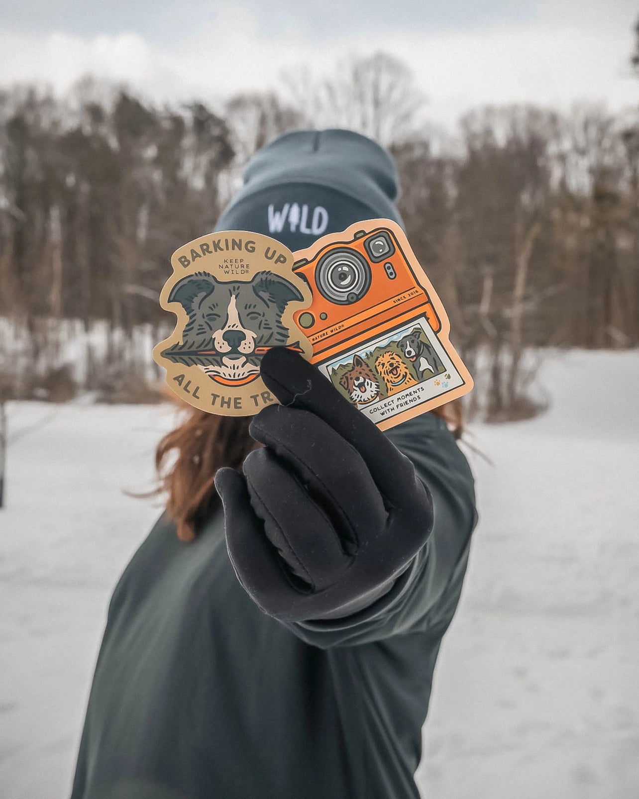 BARKING UP ALL THE TREES STICKER
