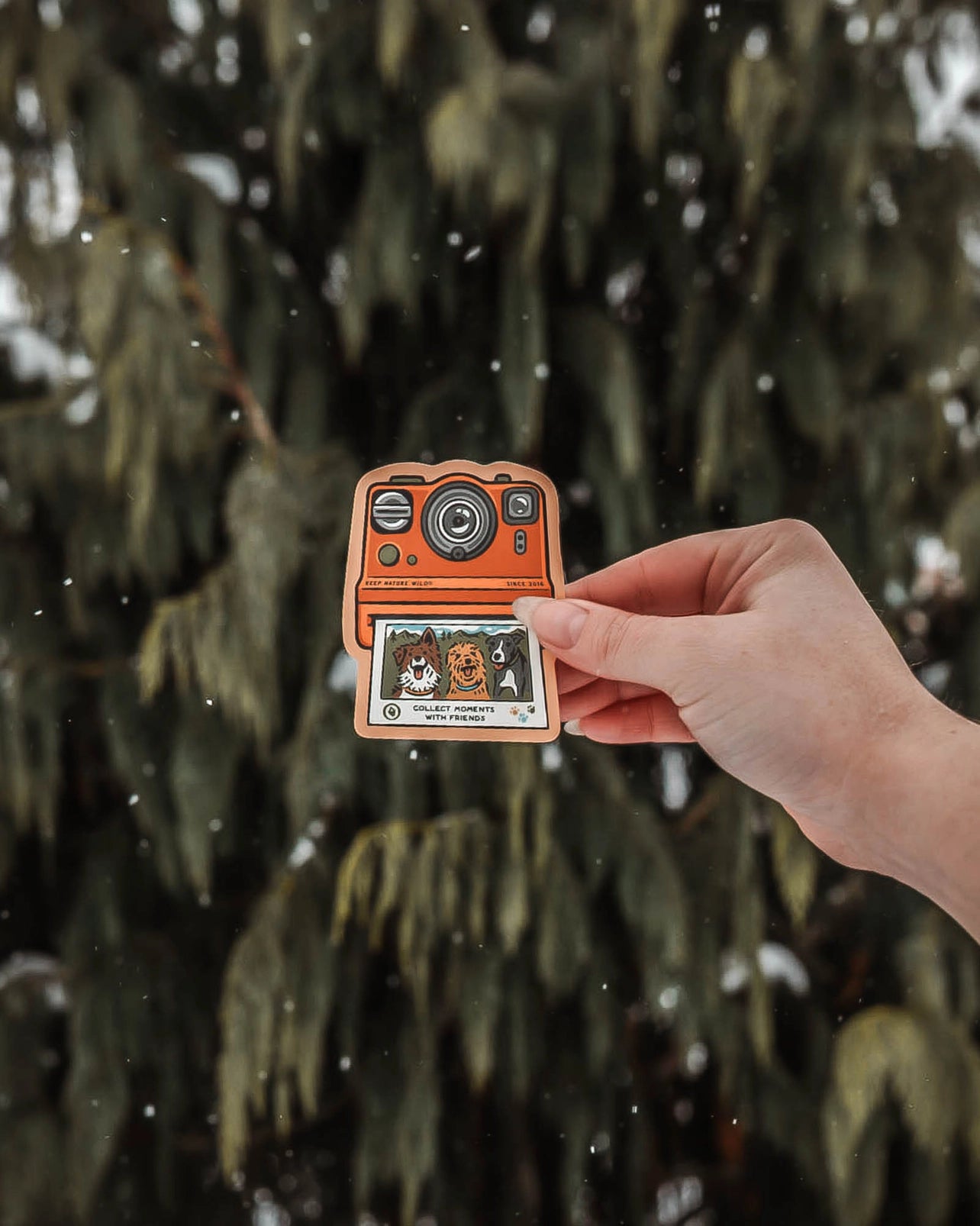 COLLECT MOMENTS WITH FRIENDS STICKER