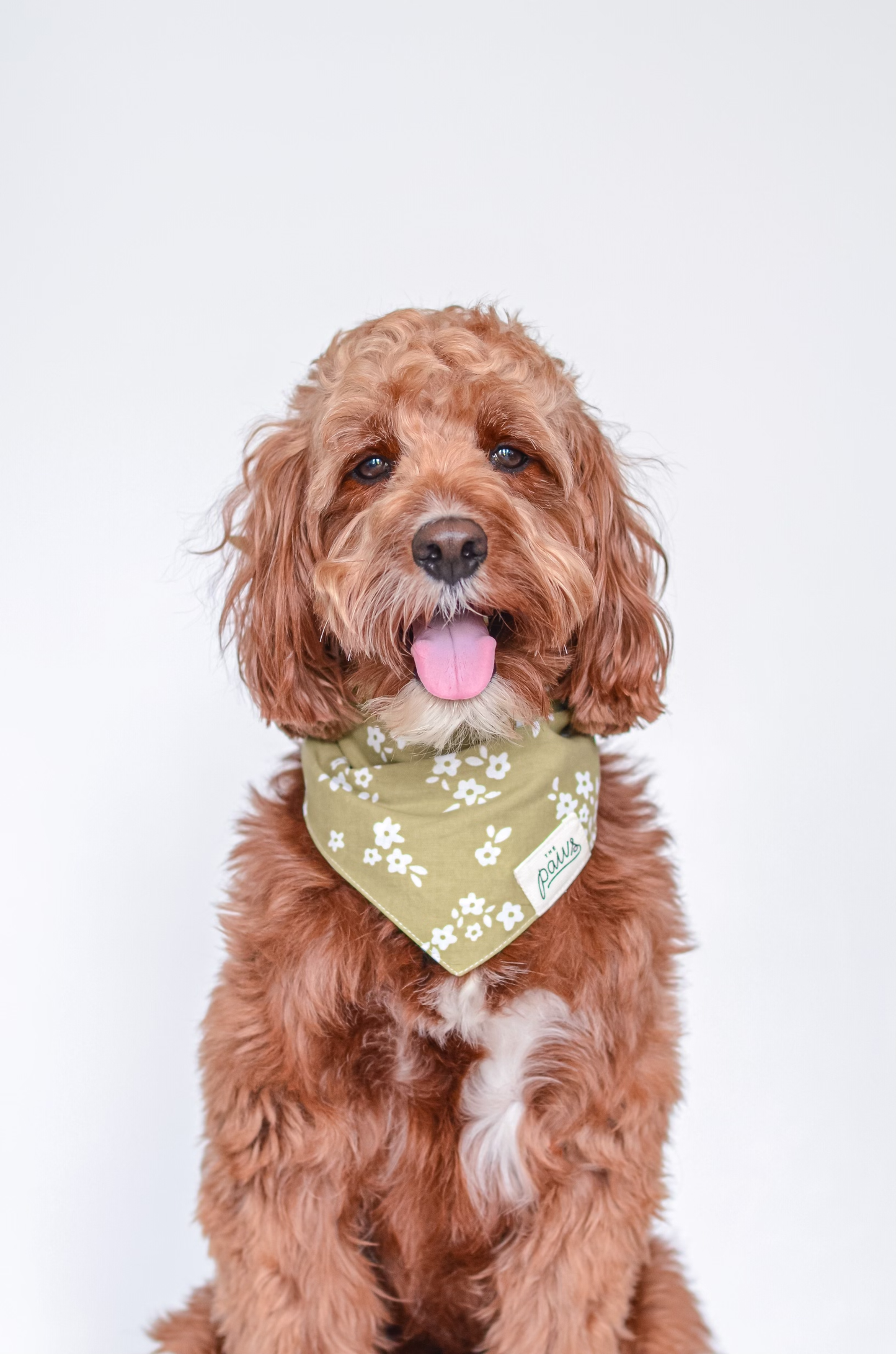 DAINTY FLOWERS BANDANA
