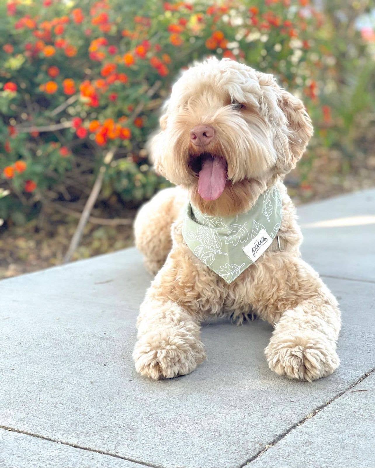 RUN FREE BANDANA