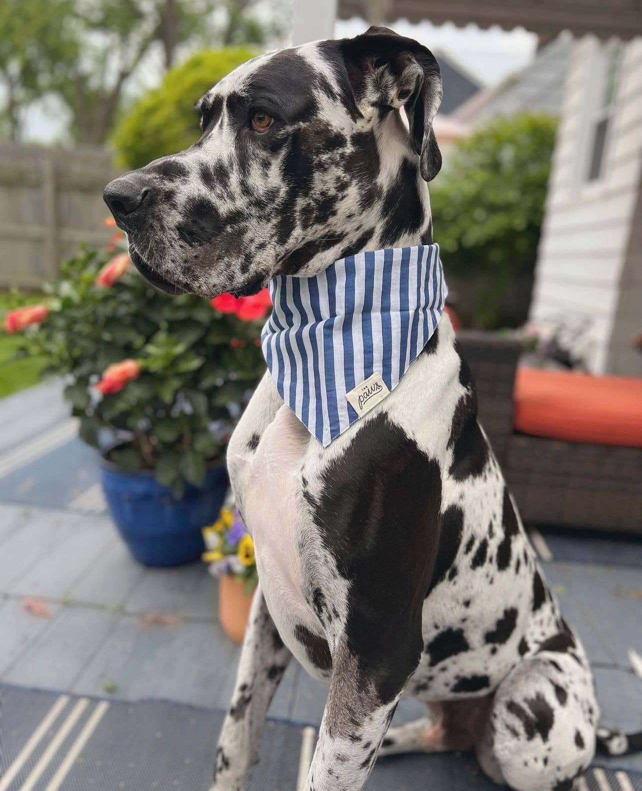 NAUTICAL STRIPE BANDANA