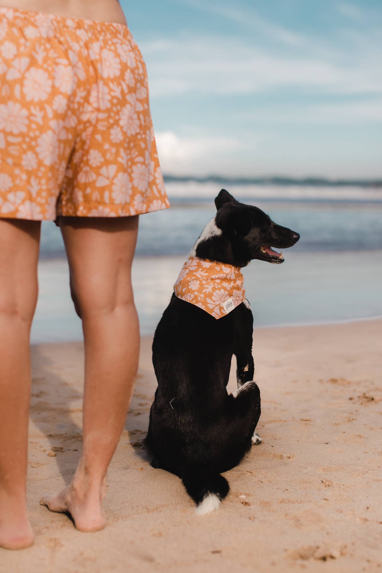 LITTLE WAVES LOUNGE SHORTS