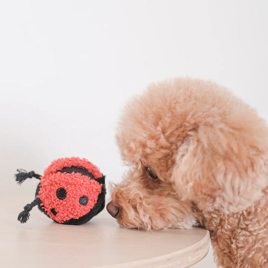 Ladybug Pop // Enrichment Dog Toy // Squeaky Ball // Mini
