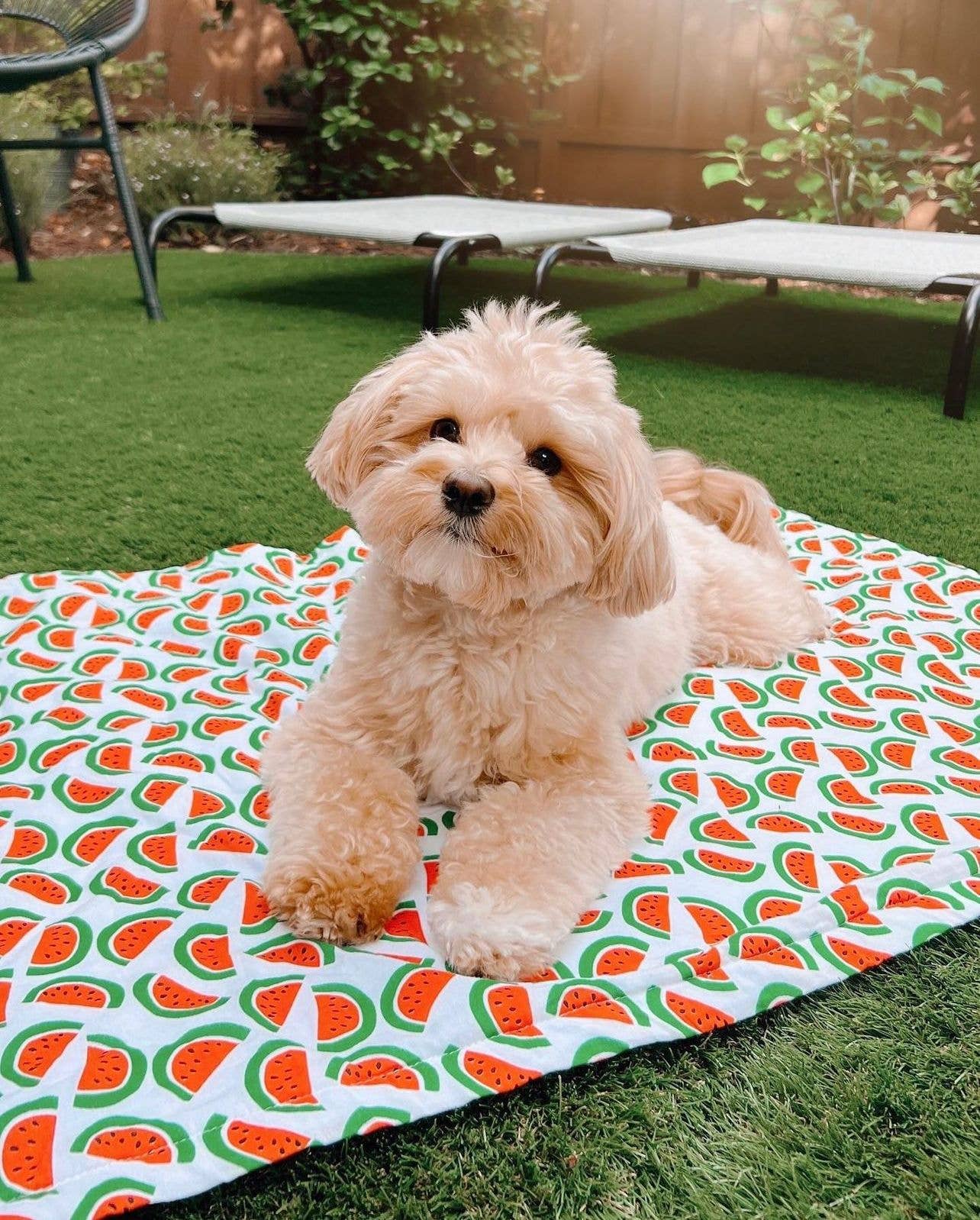 LITTLE WAVES DOG TOWEL
