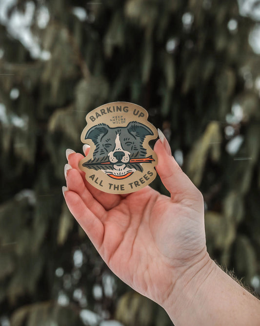 BARKING UP ALL THE TREES STICKER