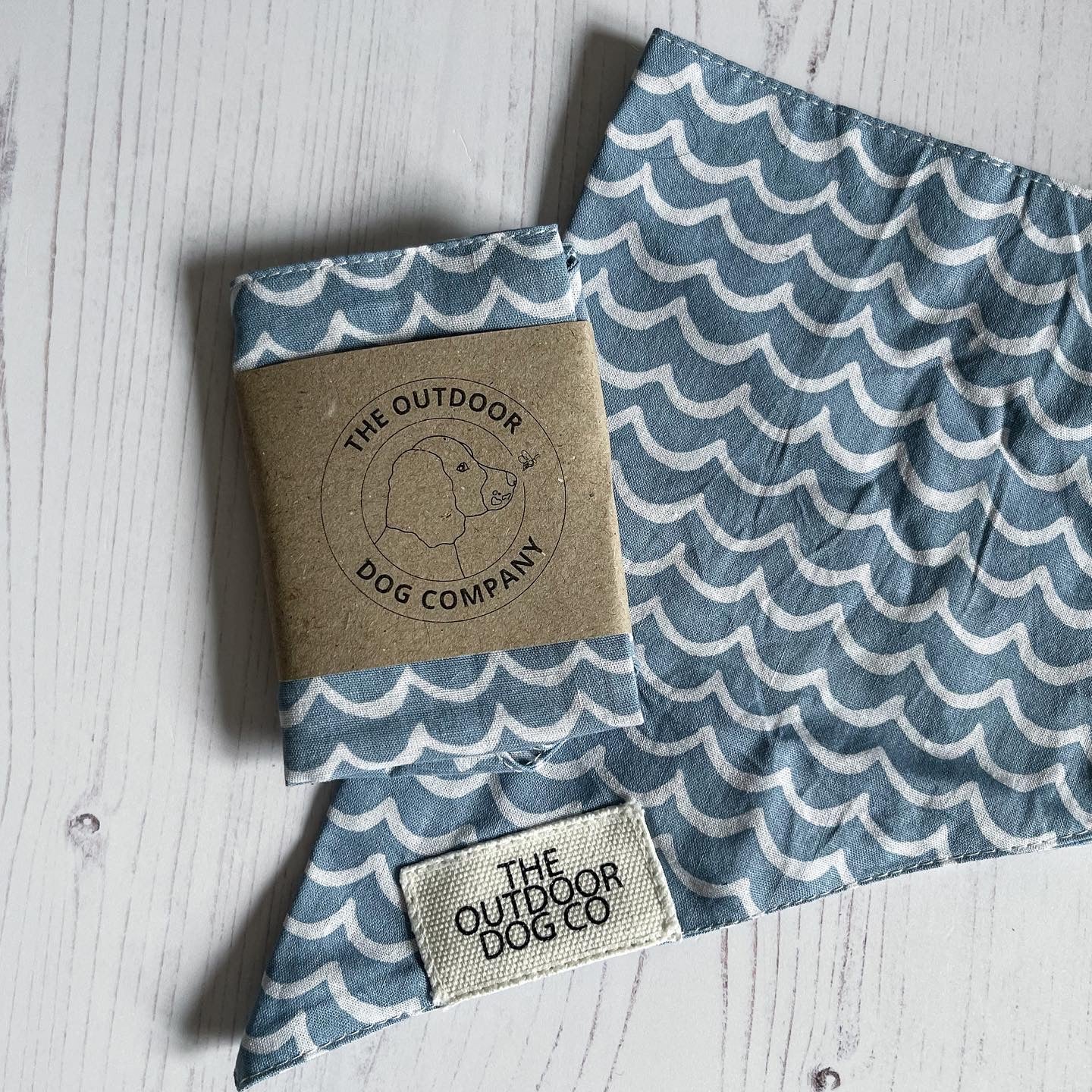 LITTLE WAVES BANDANA