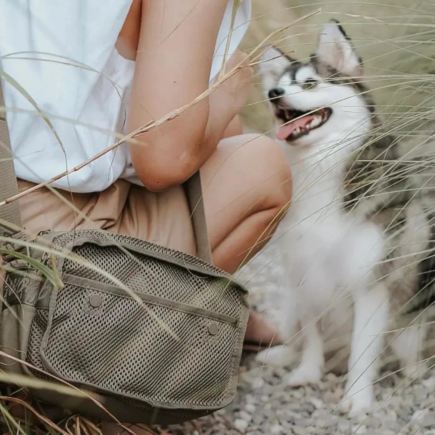 Forager Bag// Built-in Poop Bag Dispenser