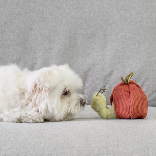 Apple & Catterpillar // Enrichment Dog Toy // Squeaky + Snuffle Toy