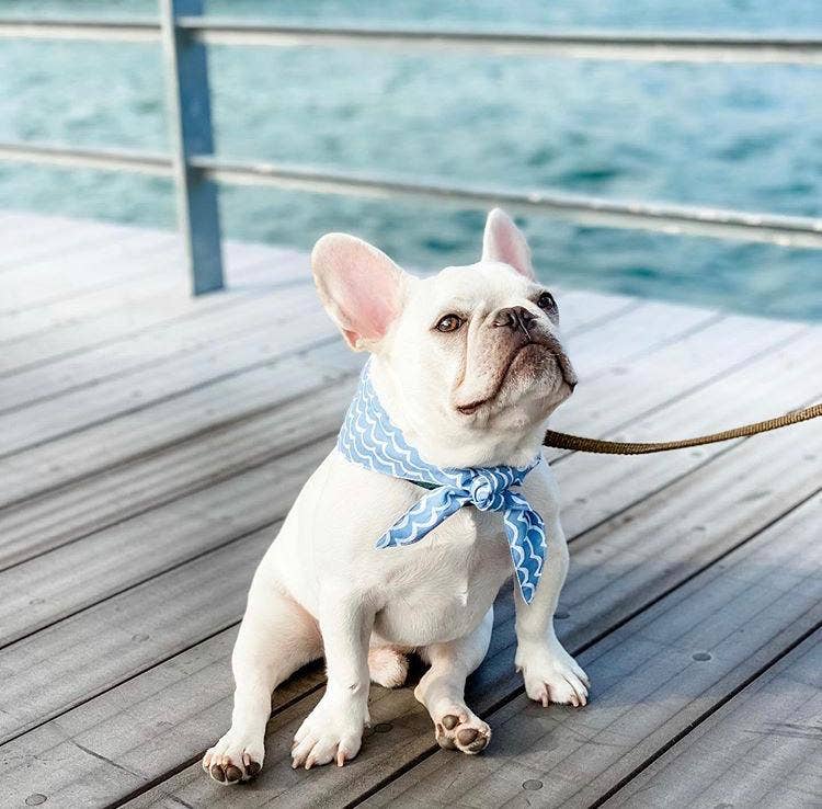 LITTLE WAVES BANDANA
