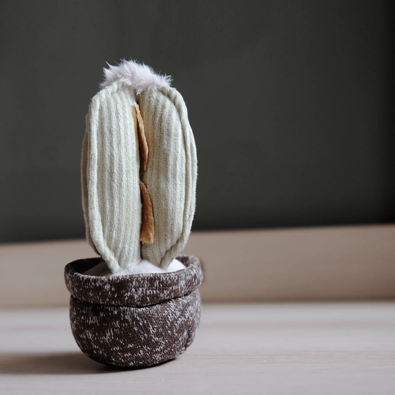 Cactus Snuffle + Squeaky Toy