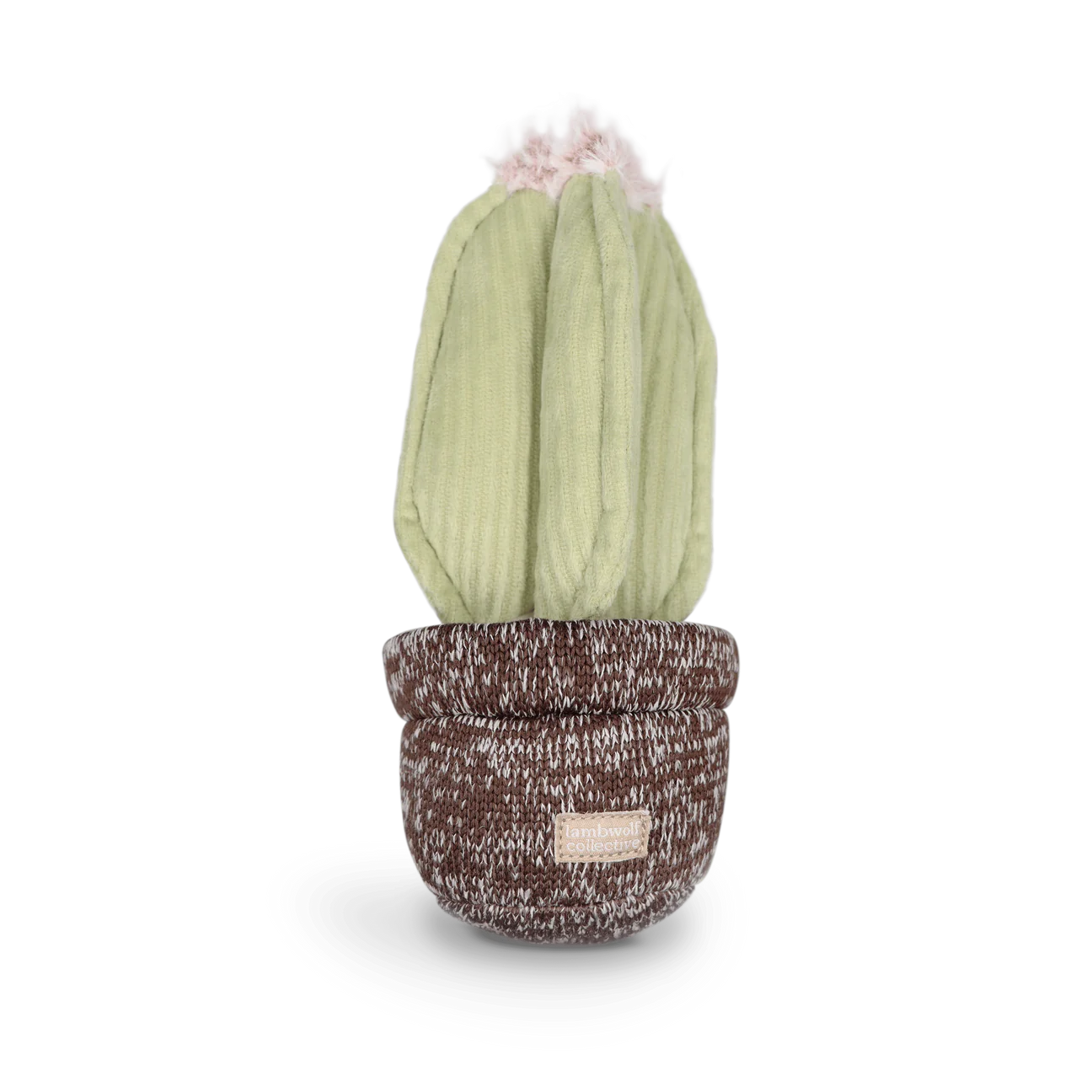 Cactus Snuffle + Squeaky Toy