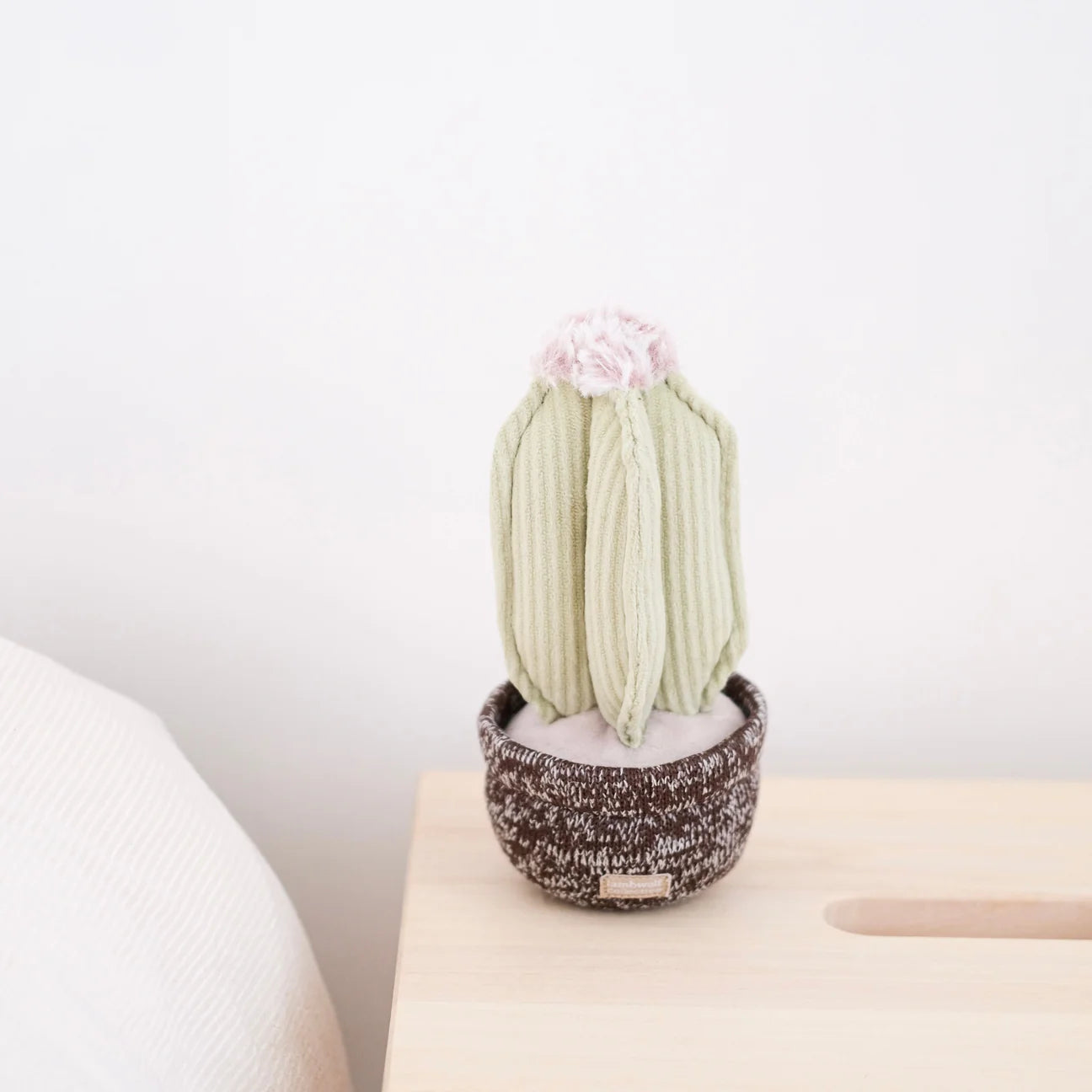 Cactus Snuffle + Squeaky Toy