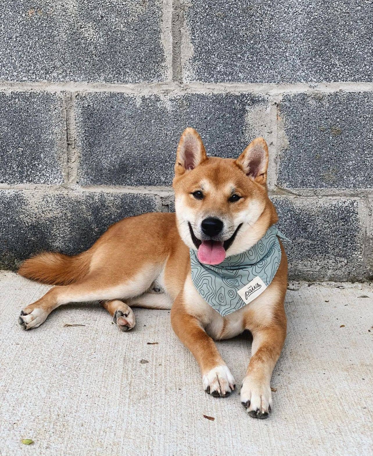 WANDER THE TRAILS BANDANA