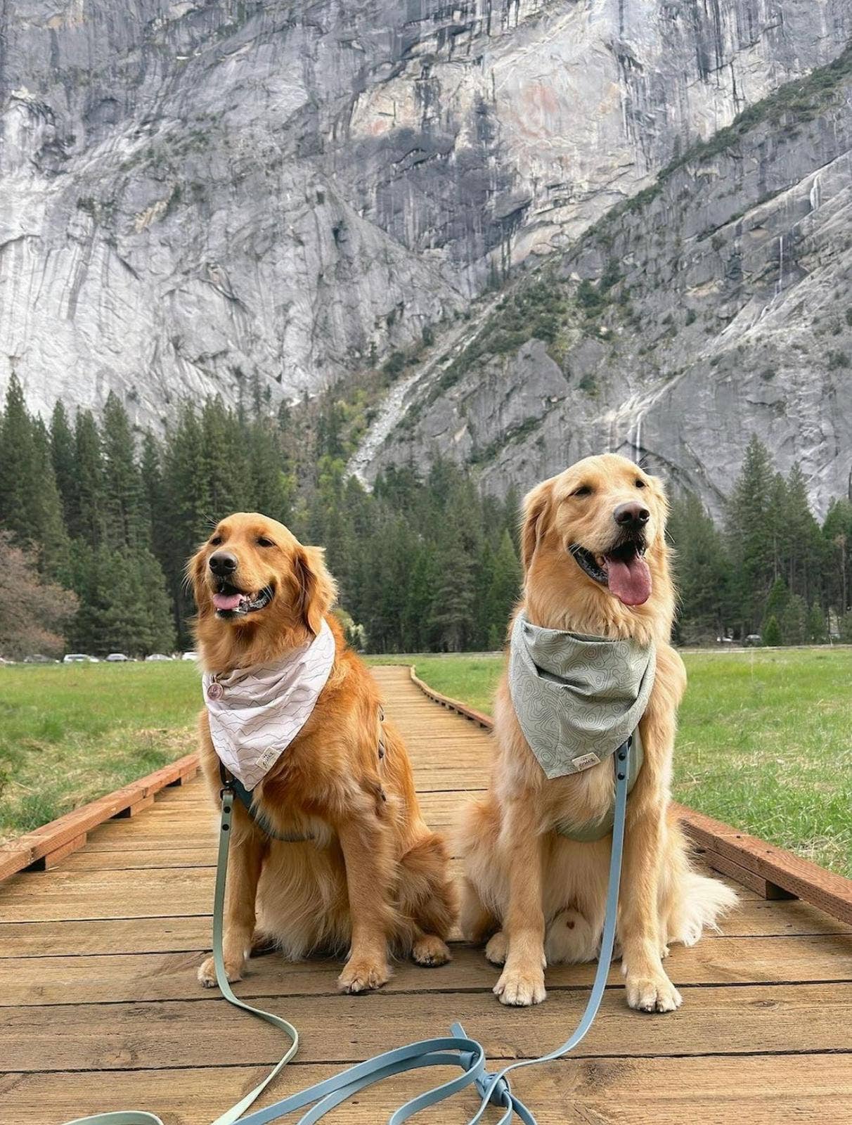 MOUNTAIN RANGE BANDANA