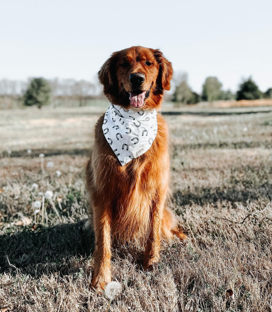 LUCKY HORSESHOE BANDANA