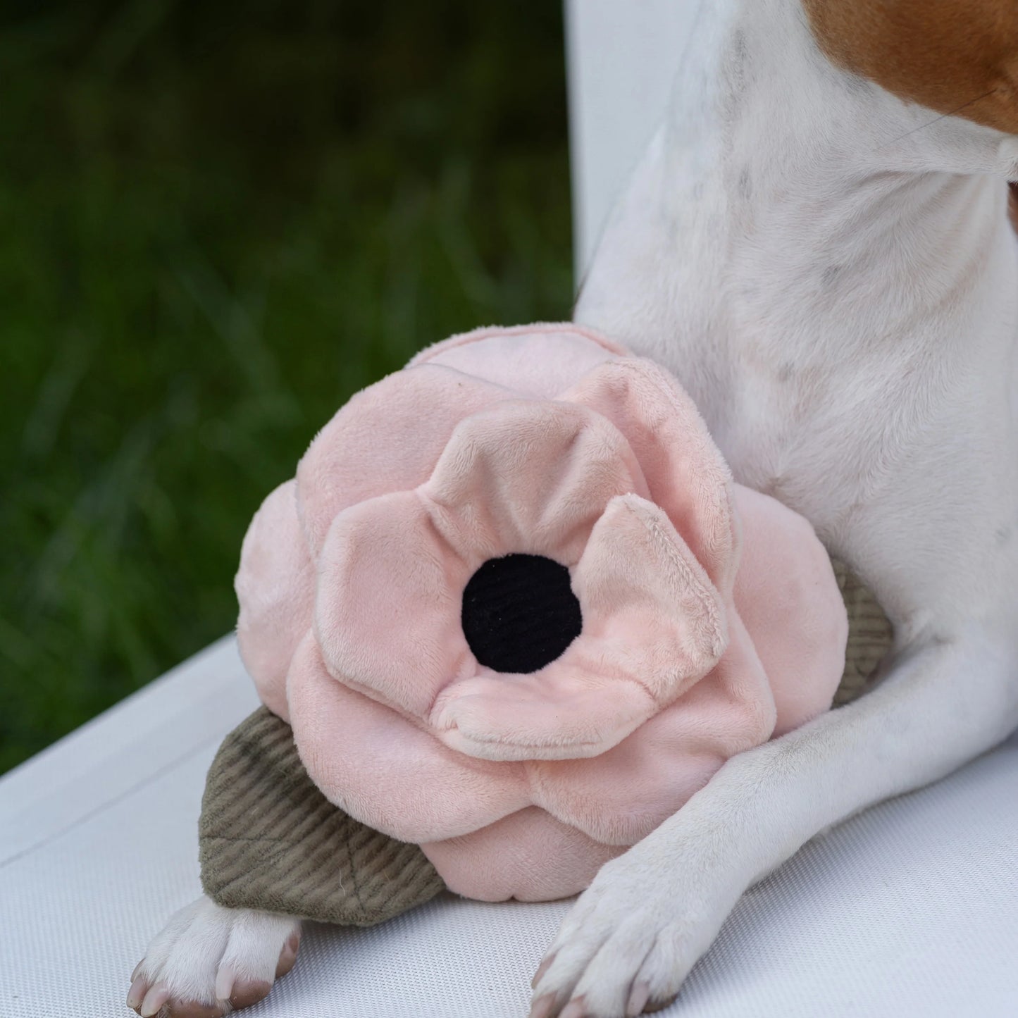 Poppy // Enrichment Dog Toy // Squeaky + Snuffle Toy
