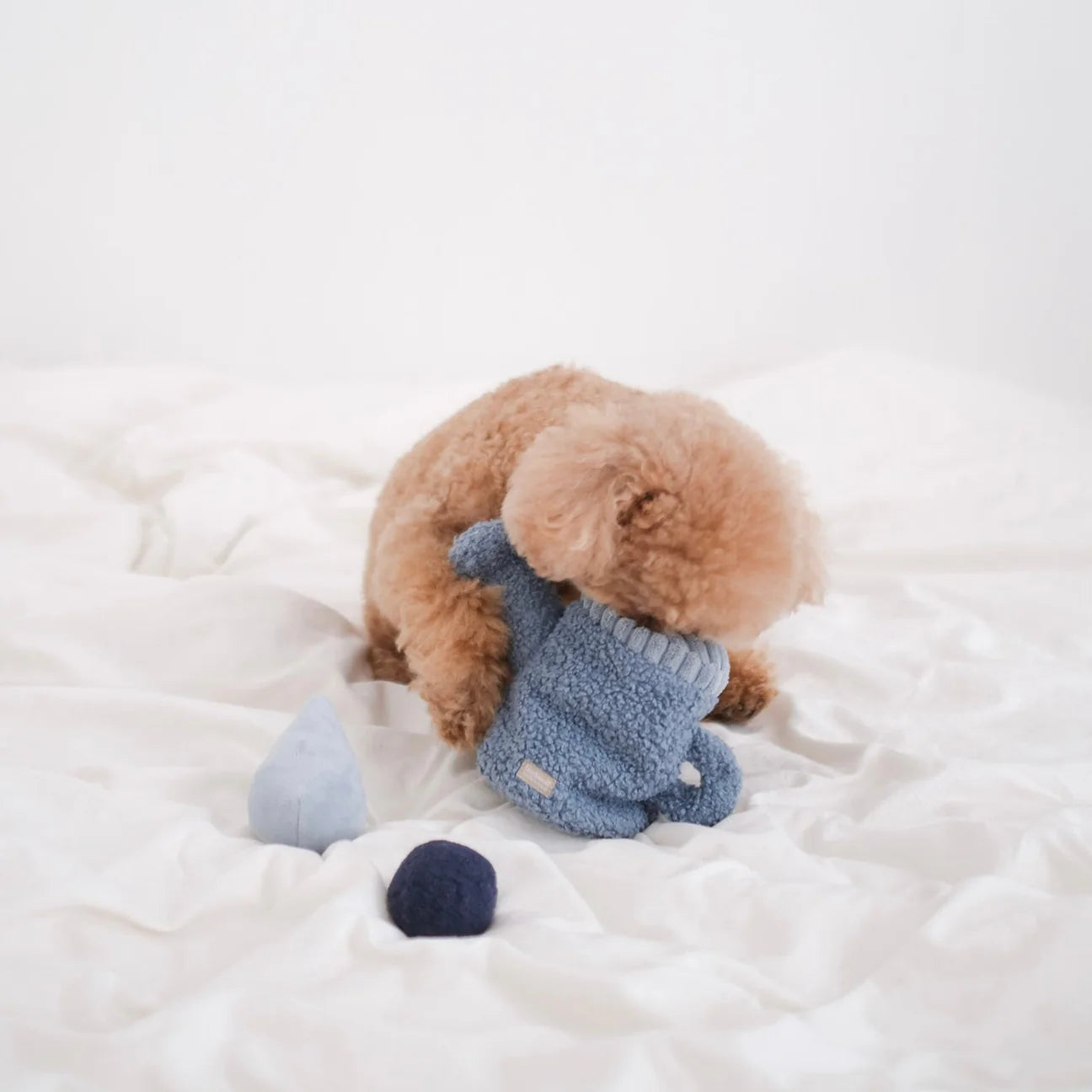 Watering Can – Burrow + Snuffle + Pop